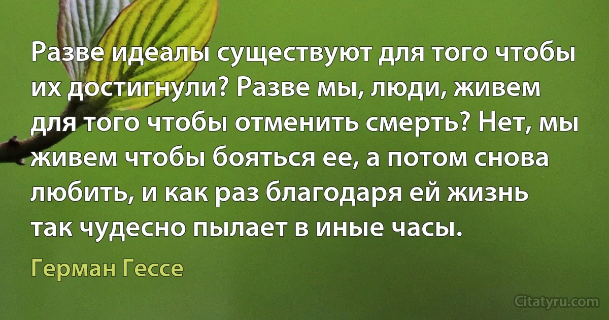 Разве идеалы существуют для того чтобы их достигнули? Разве мы, люди, живем для того чтобы отменить смерть? Нет, мы живем чтобы бояться ее, а потом снова любить, и как раз благодаря ей жизнь так чудесно пылает в иные часы. (Герман Гессе)