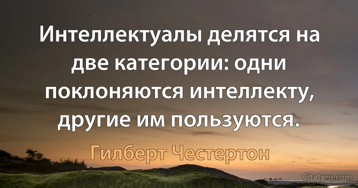 Интеллектуалы делятся на две категории: одни поклоняются интеллекту, другие им пользуются. (Гилберт Честертон)