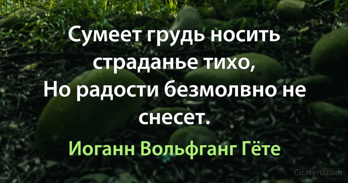 Сумеет грудь носить страданье тихо,
Но радости безмолвно не снесет. (Иоганн Вольфганг Гёте)