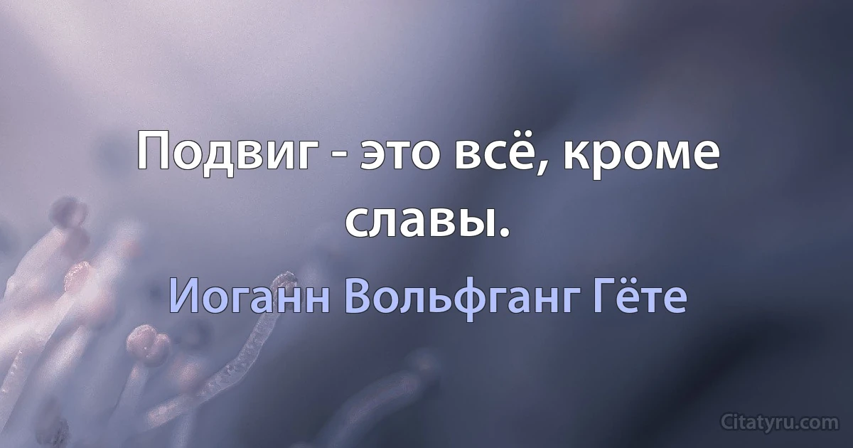 Подвиг - это всё, кроме славы. (Иоганн Вольфганг Гёте)