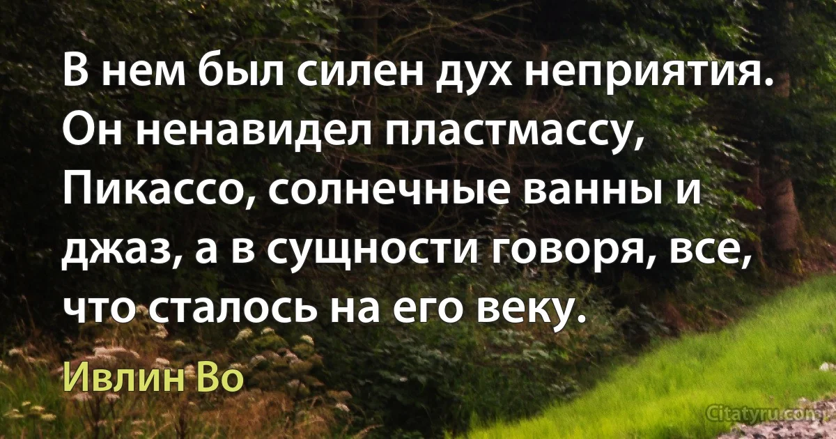 В нем был силен дух неприятия. Он ненавидел пластмассу, Пикассо, солнечные ванны и джаз, а в сущности говоря, все, что сталось на его веку. (Ивлин Во)