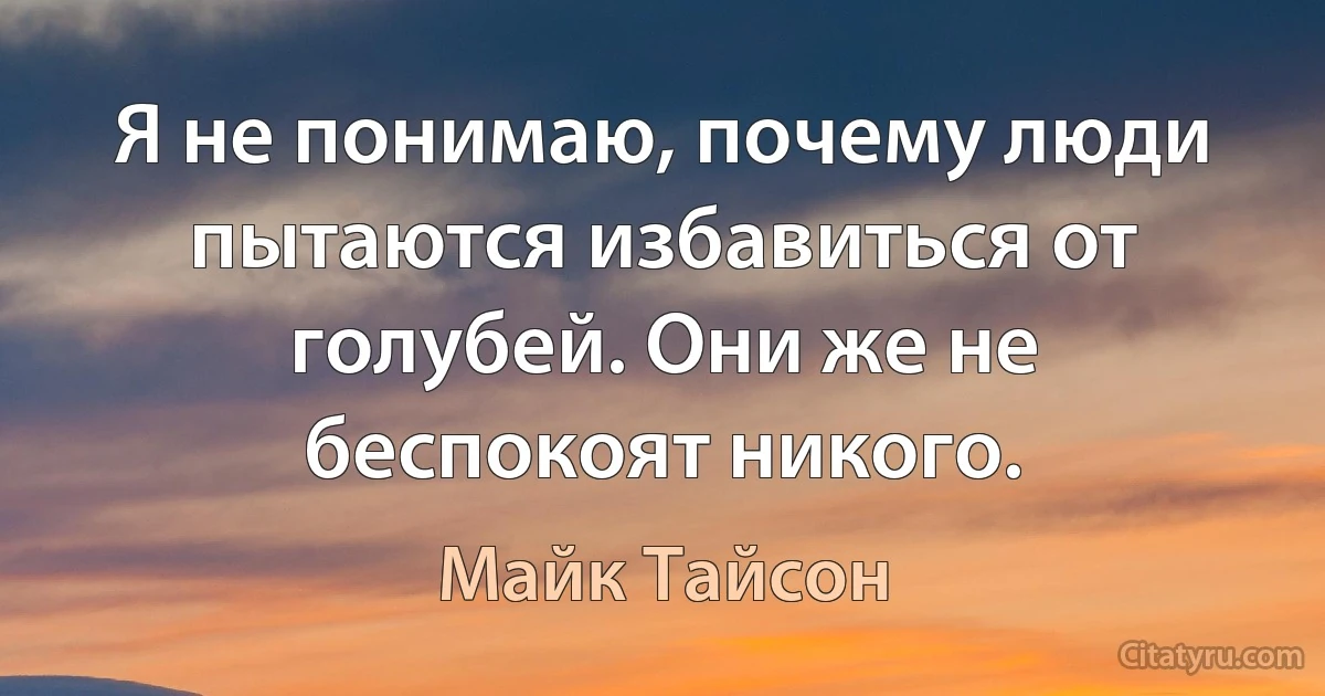 Я не понимаю, почему люди пытаются избавиться от голубей. Они же не беспокоят никого. (Майк Тайсон)