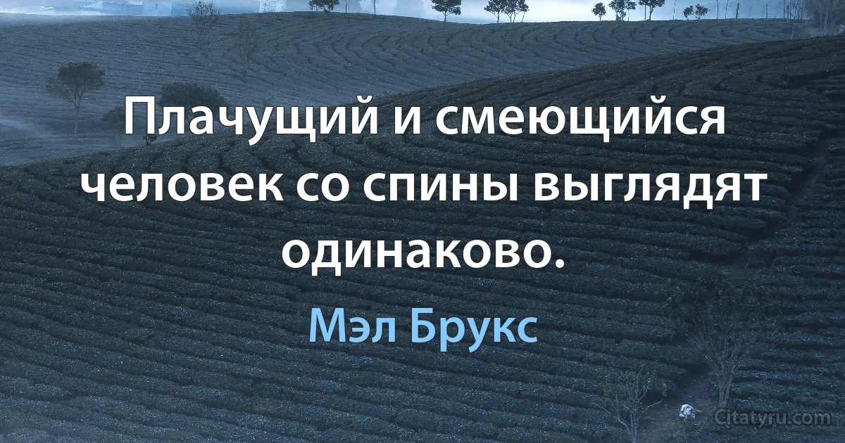 Плачущий и смеющийся человек со спины выглядят одинаково. (Мэл Брукс)