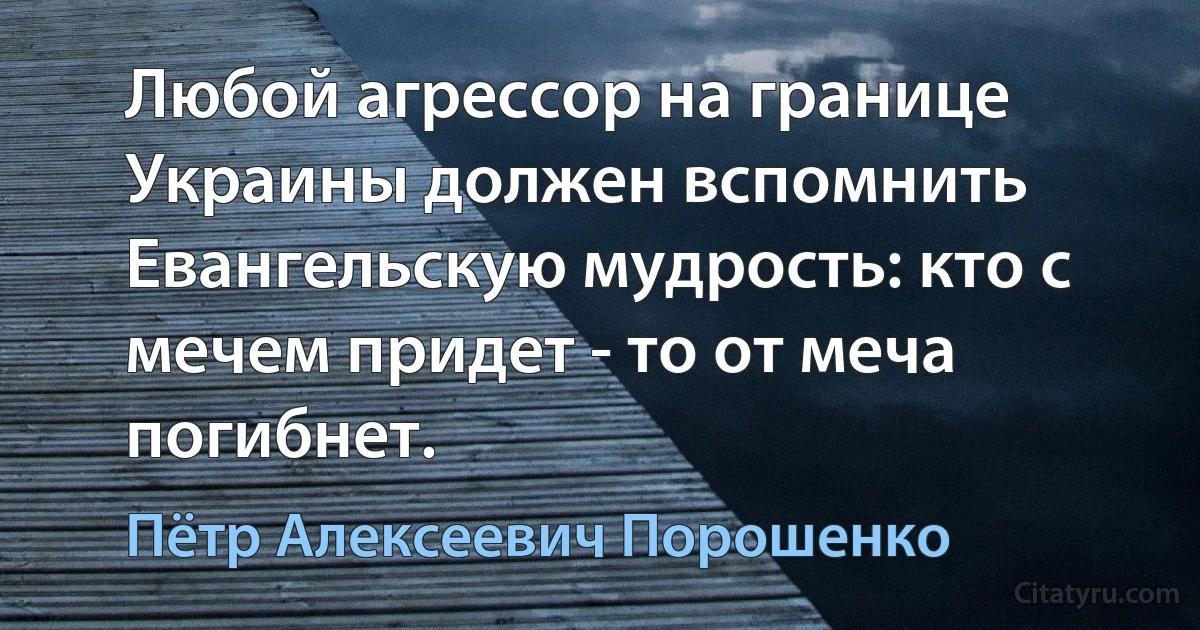 Любой агрессор на границе Украины должен вспомнить Евангельскую мудрость: кто с мечем придет - то от меча погибнет. (Пётр Алексеевич Порошенко)