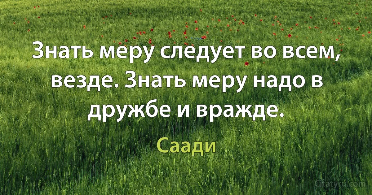 Знать меру следует во всем, везде. Знать меру надо в дружбе и вражде. (Саади)