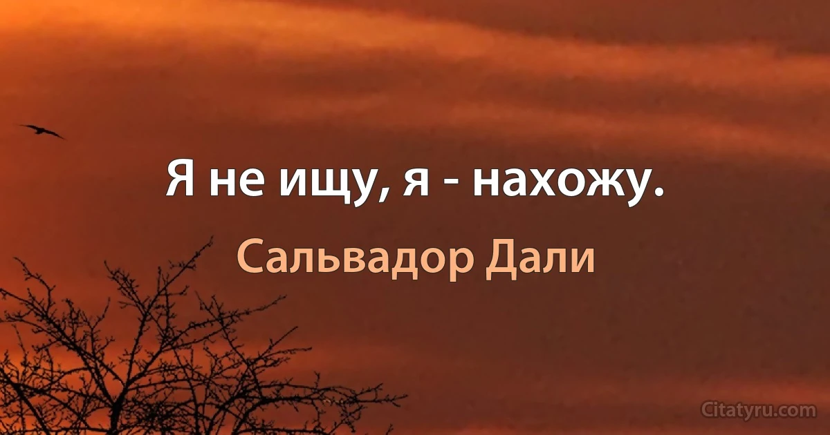 Я не ищу, я - нахожу. (Сальвадор Дали)