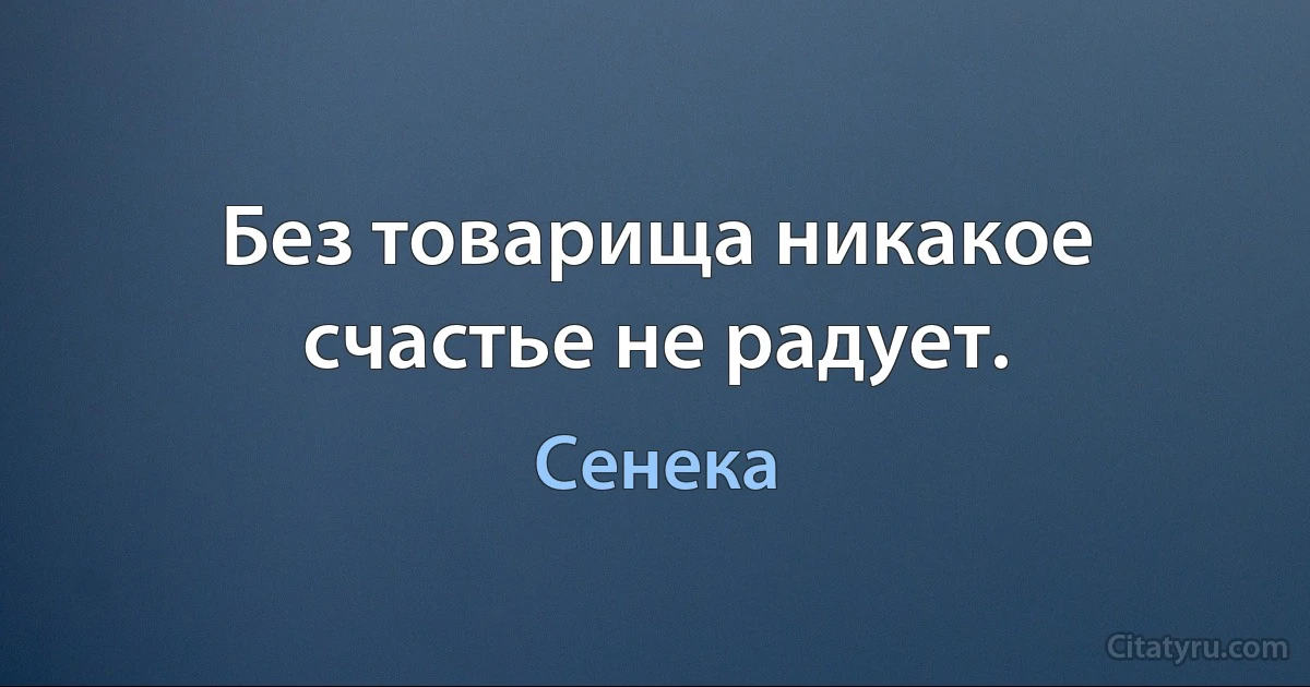 Без товарища никакое счастье не радует. (Сенека)