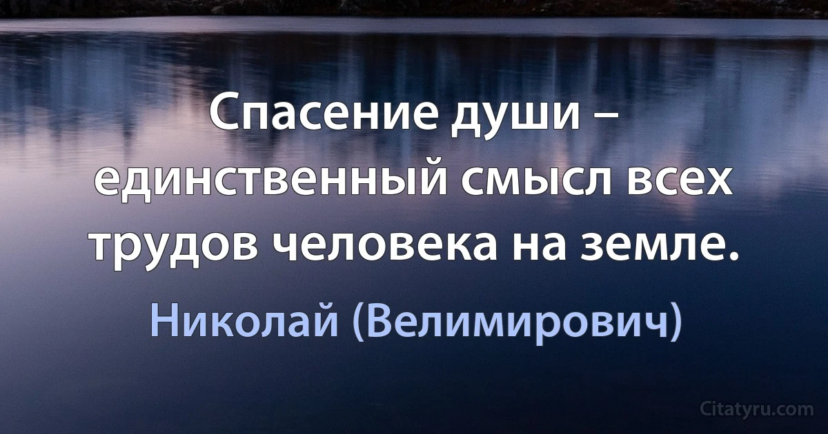 Спасение души – единственный смысл всех трудов человека на земле. (Николай (Велимирович))