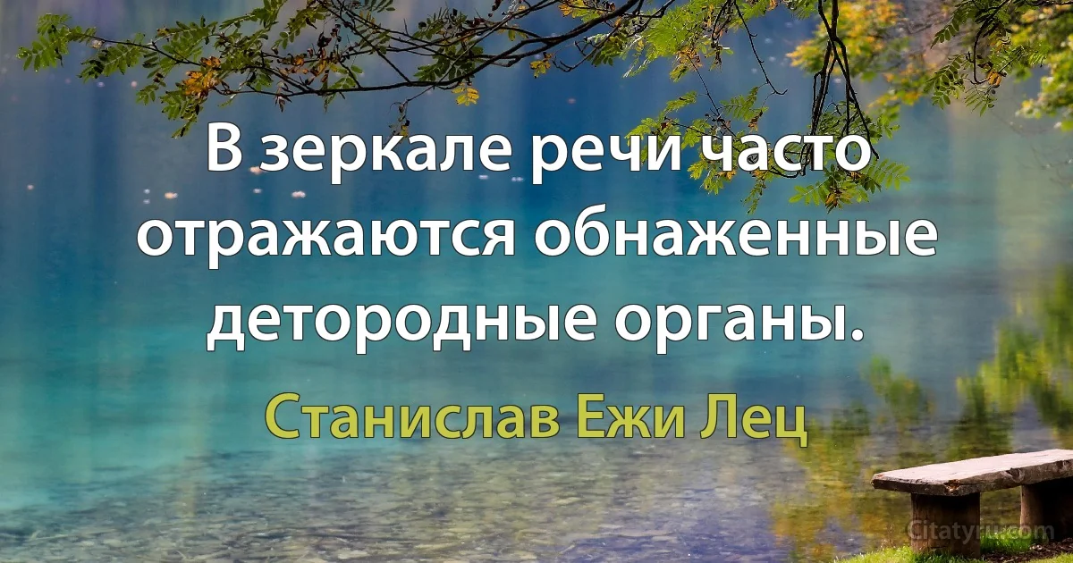 В зеркале речи часто отражаются обнаженные детородные органы. (Станислав Ежи Лец)