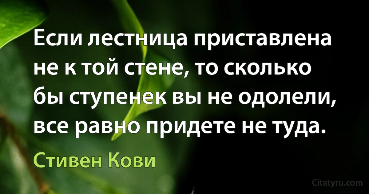 Если лестница приставлена не к той стене, то сколько бы ступенек вы не одолели, все равно придете не туда. (Стивен Кови)