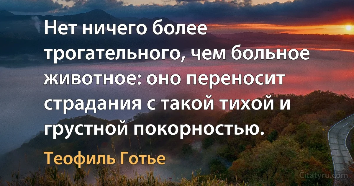 Нет ничего более трогательного, чем больное животное: оно переносит страдания с такой тихой и грустной покорностью. (Теофиль Готье)