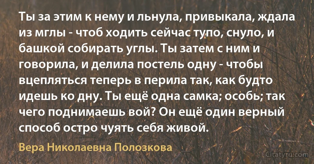 Ты за этим к нему и льнула, привыкала, ждала из мглы - чтоб ходить сейчас тупо, снуло, и башкой собирать углы. Ты затем с ним и говорила, и делила постель одну - чтобы вцепляться теперь в перила так, как будто идешь ко дну. Ты ещё одна самка; особь; так чего поднимаешь вой? Он ещё один верный способ остро чуять себя живой. (Вера Николаевна Полозкова)