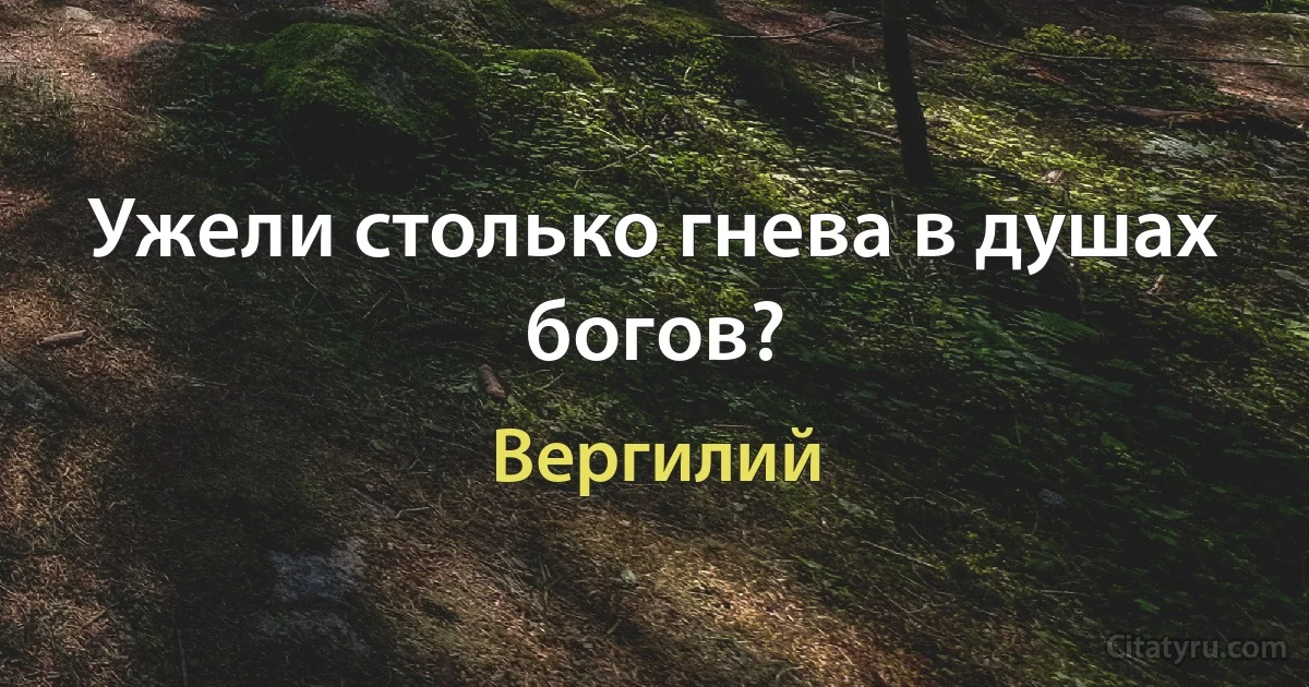 Ужели столько гнева в душах богов? (Вергилий)