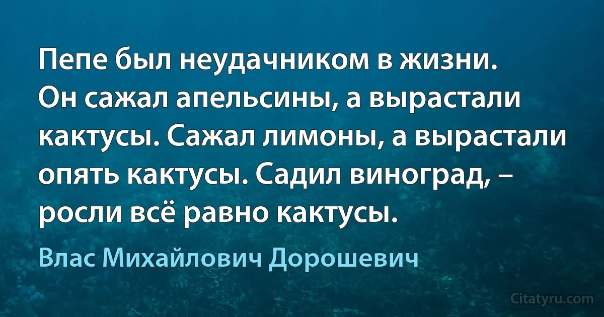 Пепе был неудачником в жизни.
Он сажал апельсины, а вырастали кактусы. Сажал лимоны, а вырастали опять кактусы. Садил виноград, – росли всё равно кактусы. (Влас Михайлович Дорошевич)