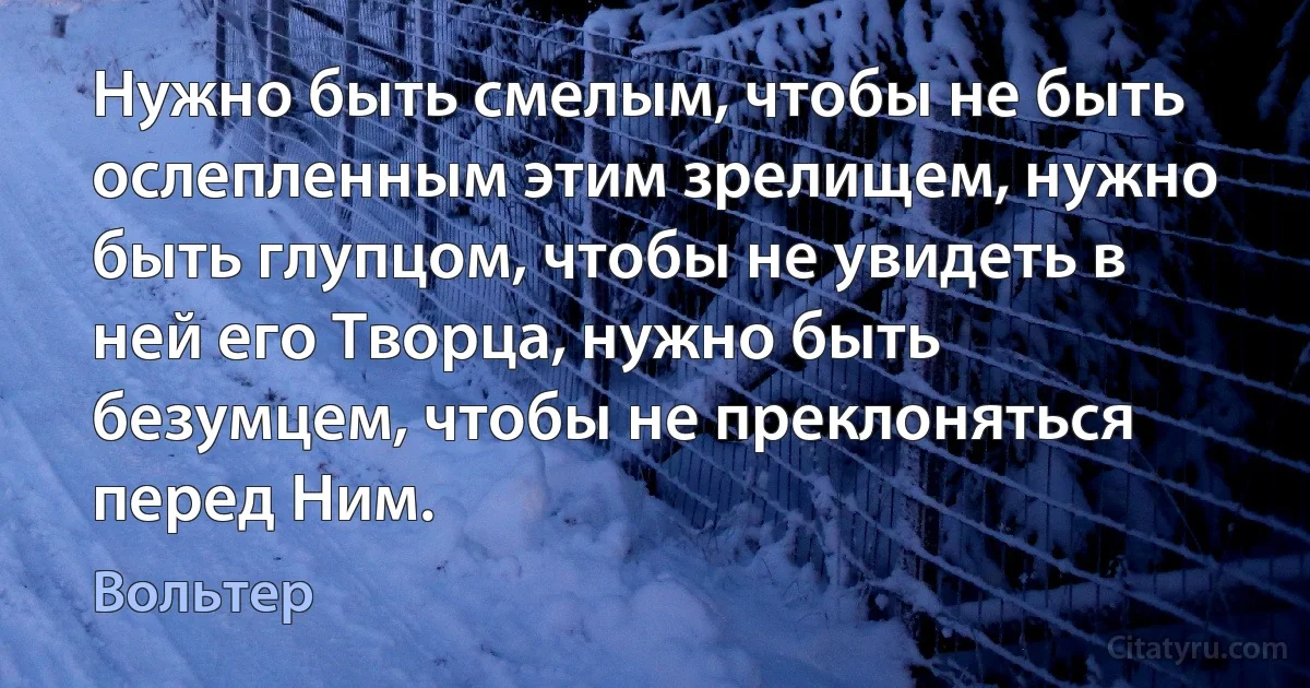 Нужно быть смелым, чтобы не быть ослепленным этим зрелищем, нужно быть глупцом, чтобы не увидеть в ней его Творца, нужно быть безумцем, чтобы не преклоняться перед Ним. (Вольтер)