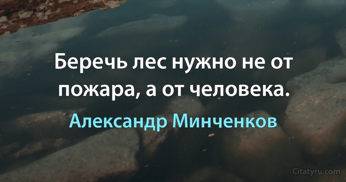 Беречь лес нужно не от пожара, а от человека. (Александр Минченков)