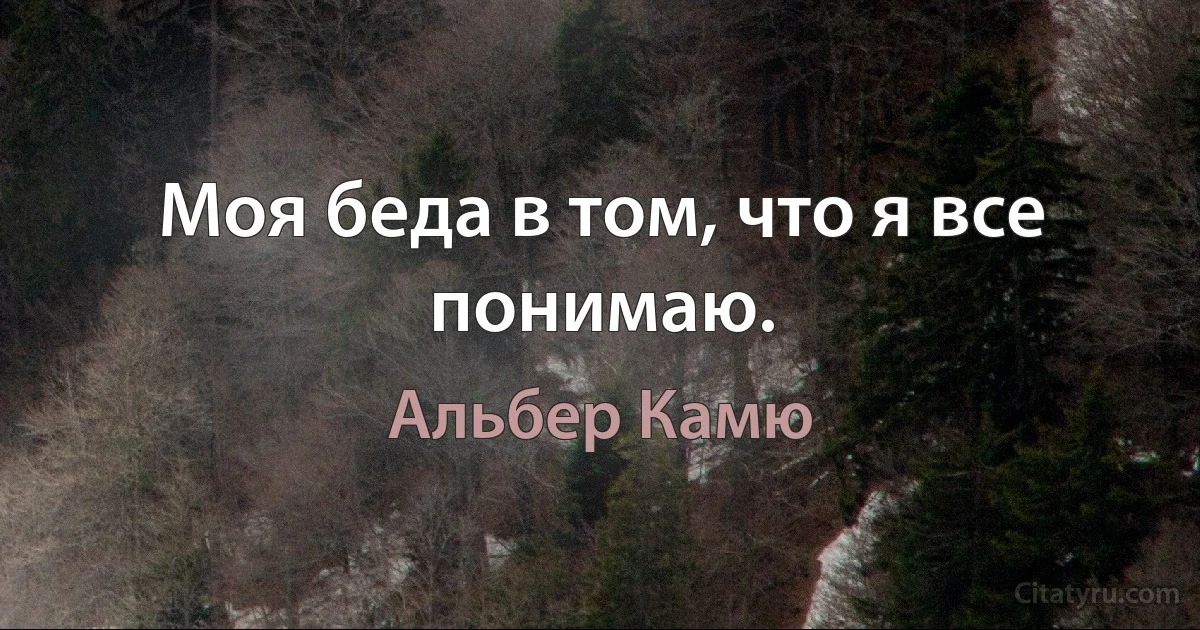 Моя беда в том, что я все понимаю. (Альбер Камю)