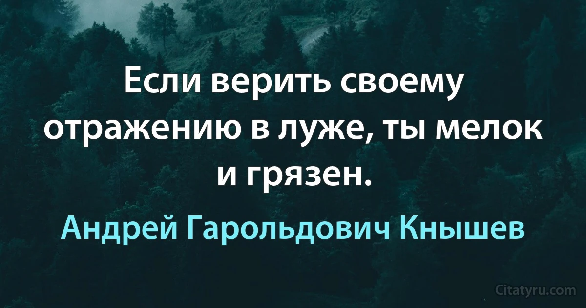 Если верить своему отражению в луже, ты мелок и грязен. (Андрей Гарольдович Кнышев)