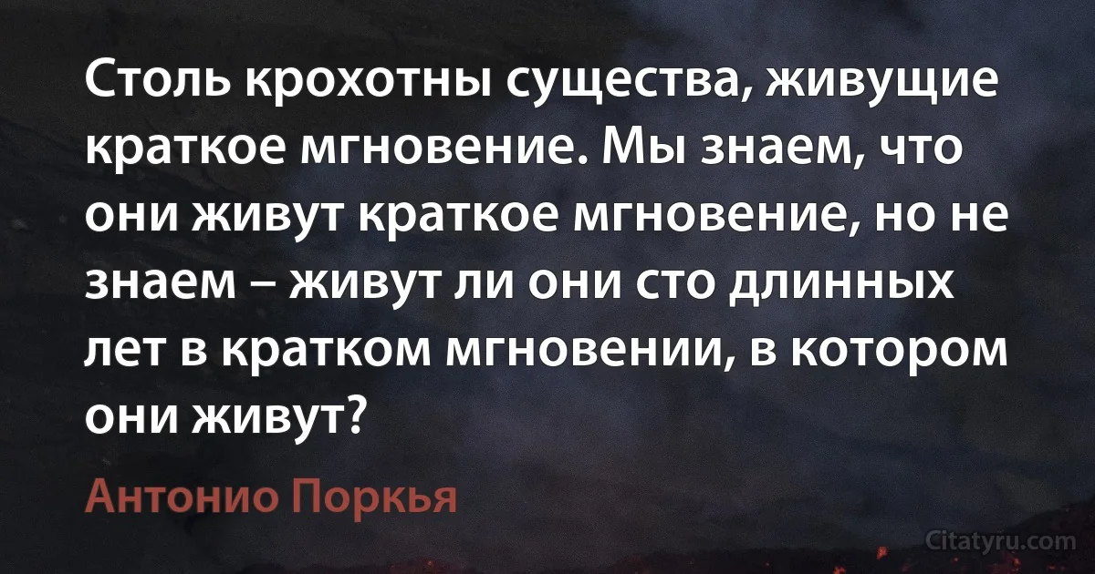 Столь крохотны существа, живущие краткое мгновение. Мы знаем, что они живут краткое мгновение, но не знаем – живут ли они сто длинных лет в кратком мгновении, в котором они живут? (Антонио Поркья)