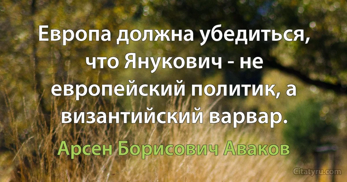 Европа должна убедиться, что Янукович - не европейский политик, а византийский варвар. (Арсен Борисович Аваков)