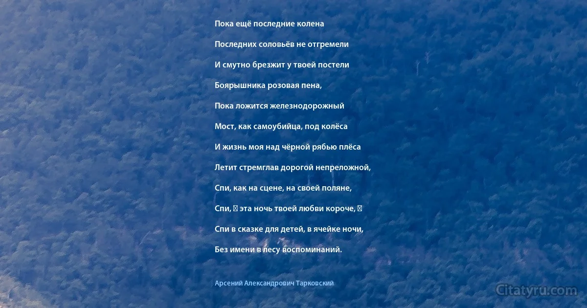 Пока ещё последние колена

Последних соловьёв не отгремели

И смутно брезжит у твоей постели

Боярышника розовая пена,

Пока ложится железнодорожный

Мост, как самоубийца, под колёса

И жизнь моя над чёрной рябью плёса

Летит стремглав дорогой непреложной,

Спи, как на сцене, на своей поляне,

Спи, ― эта ночь твоей любви короче, ―

Спи в сказке для детей, в ячейке ночи,

Без имени в лесу воспоминаний. (Арсений Александрович Тарковский)