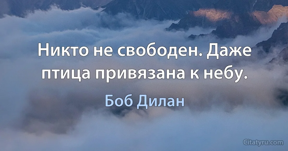 Никто не свободен. Даже птица привязана к небу. (Боб Дилан)