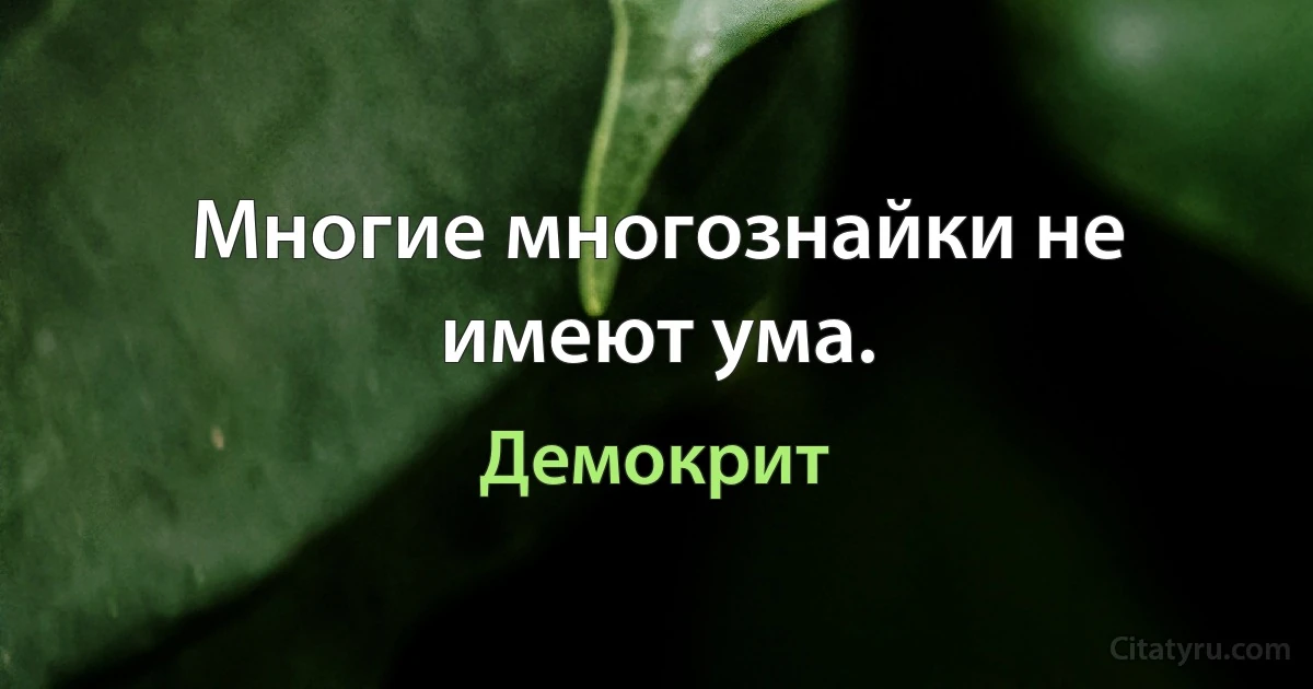 Многие многознайки не имеют ума. (Демокрит)