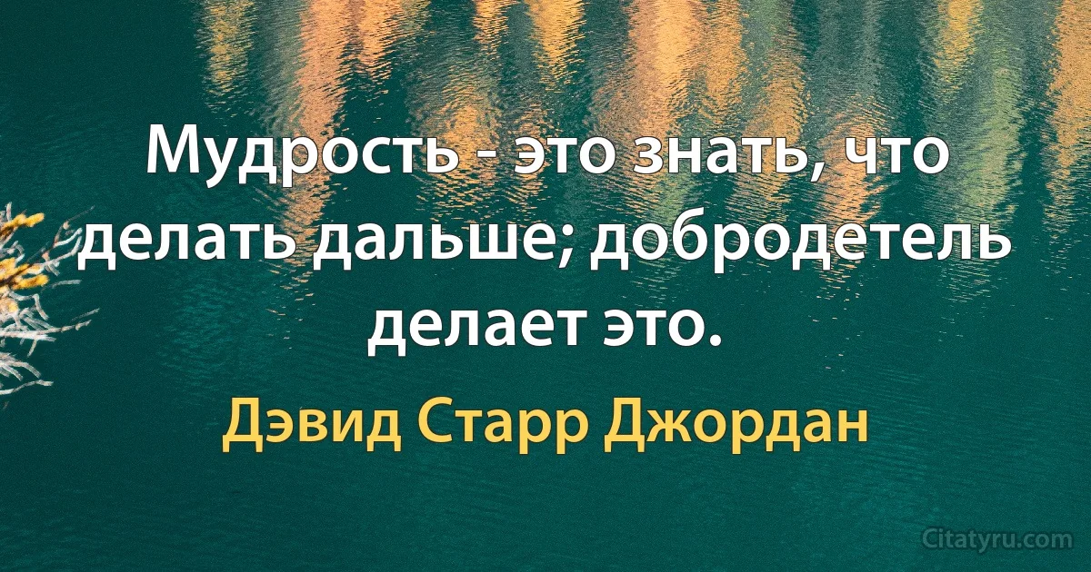 Мудрость - это знать, что делать дальше; добродетель делает это. (Дэвид Старр Джордан)