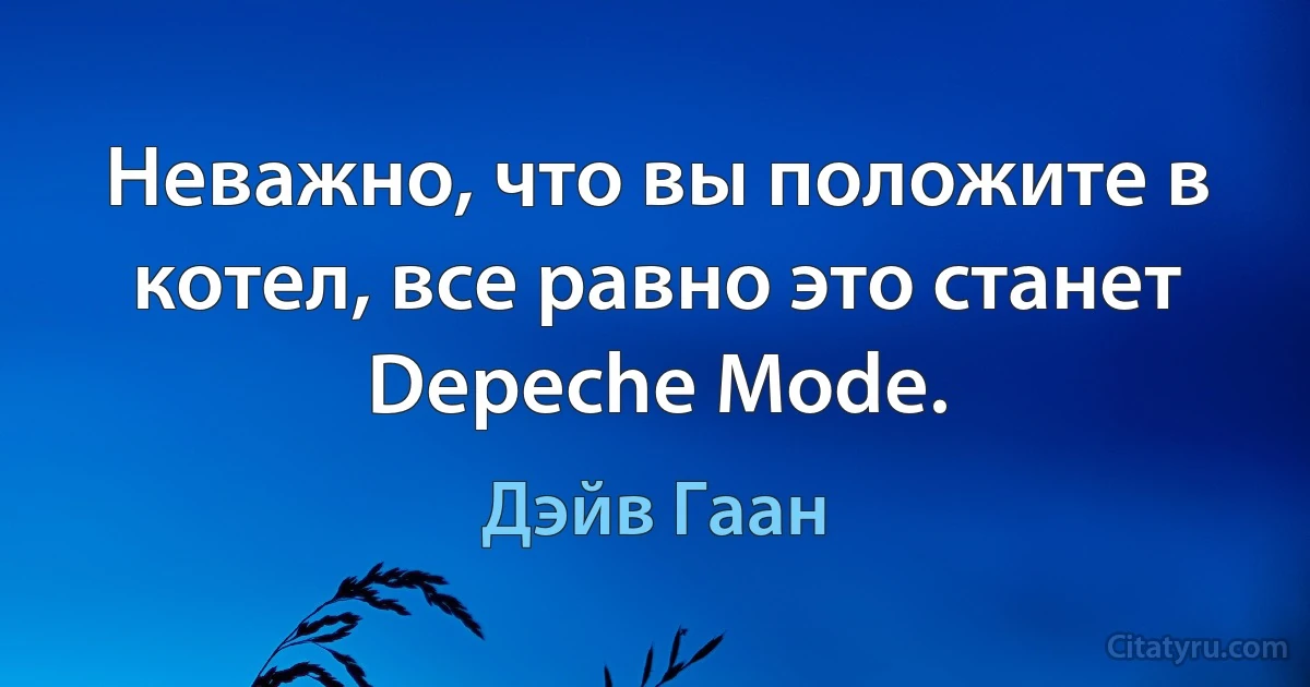 Неважно, что вы положите в котел, все равно это станет Depeche Mode. (Дэйв Гаан)