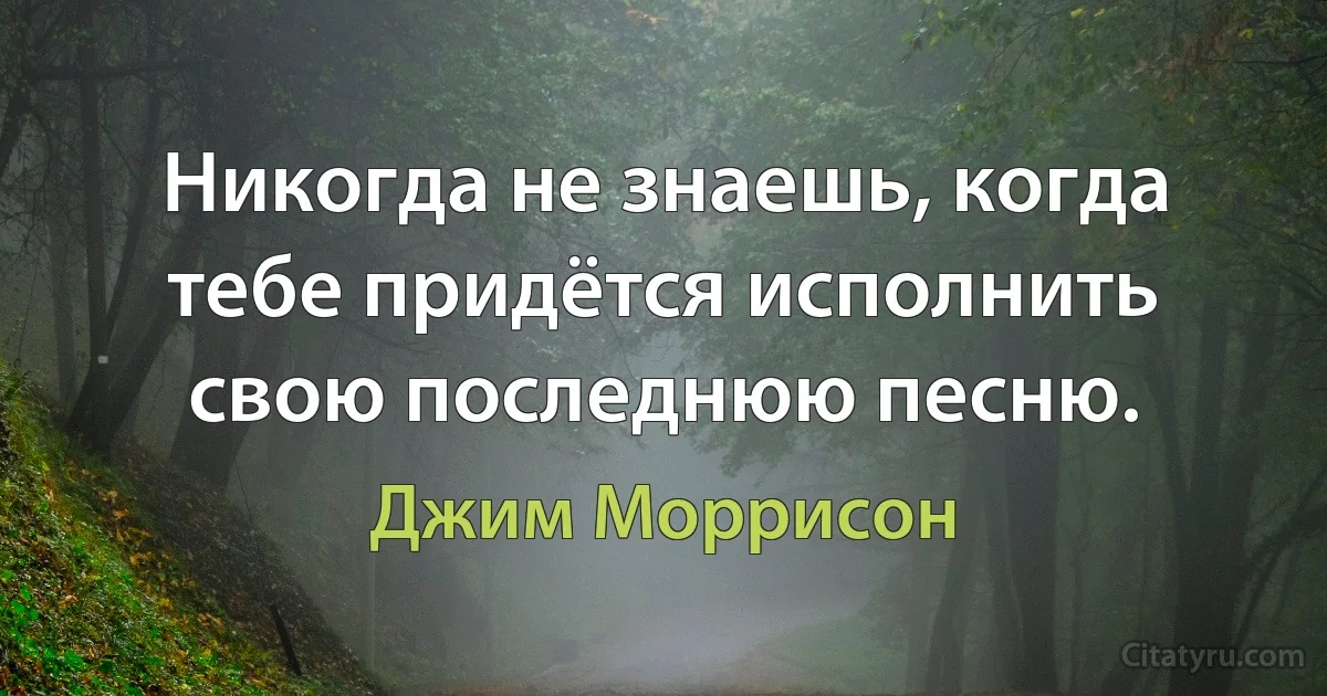 Никогда не знаешь, когда тебе придётся исполнить свою последнюю песню. (Джим Моррисон)