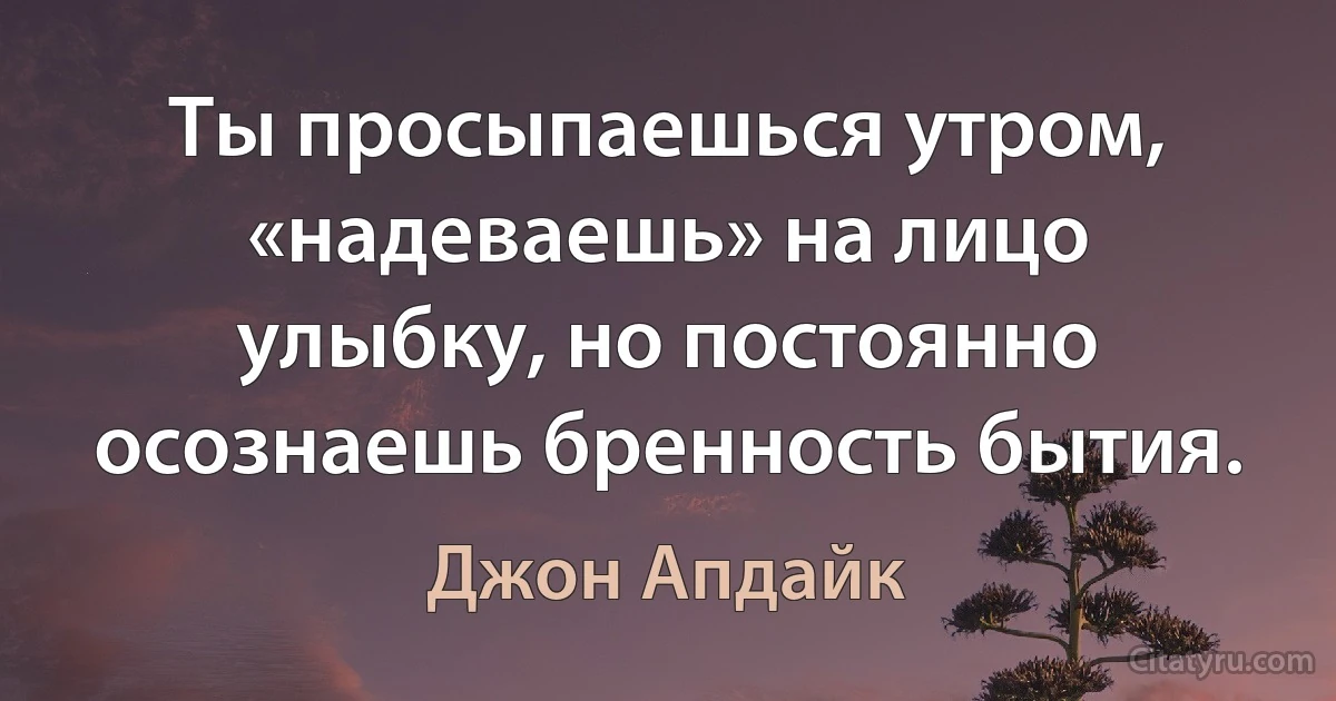 Ты просыпаешься утром, «надеваешь» на лицо улыбку, но постоянно осознаешь бренность бытия. (Джон Апдайк)