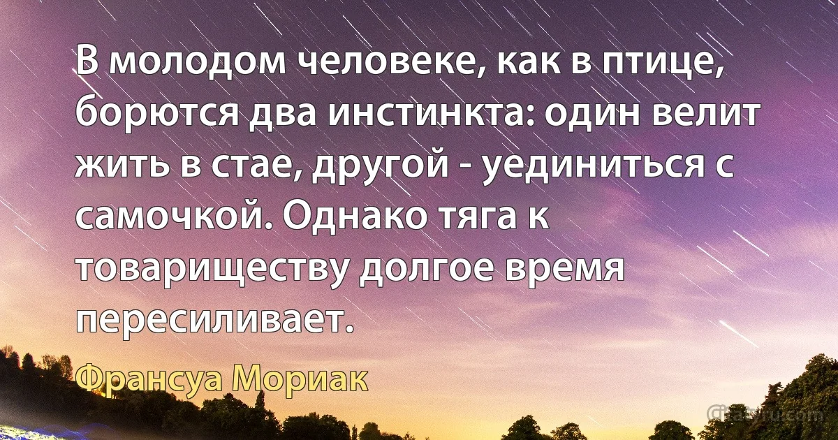 В молодом человеке, как в птице, борются два инстинкта: один велит жить в стае, другой - уединиться с самочкой. Однако тяга к товариществу долгое время пересиливает. (Франсуа Мориак)