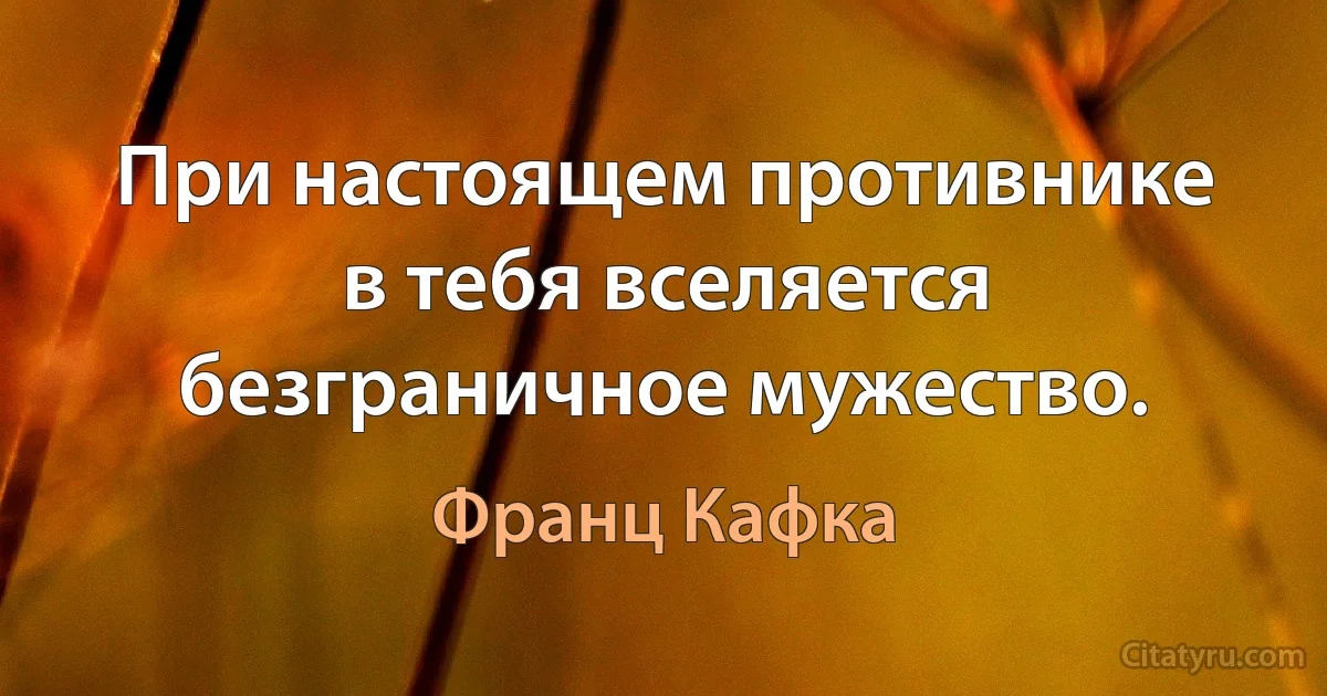 При настоящем противнике в тебя вселяется безграничное мужество. (Франц Кафка)