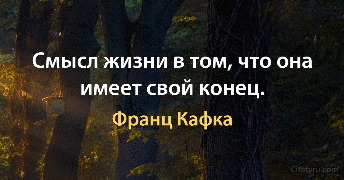 Смысл жизни в том, что она имеет свой конец. (Франц Кафка)