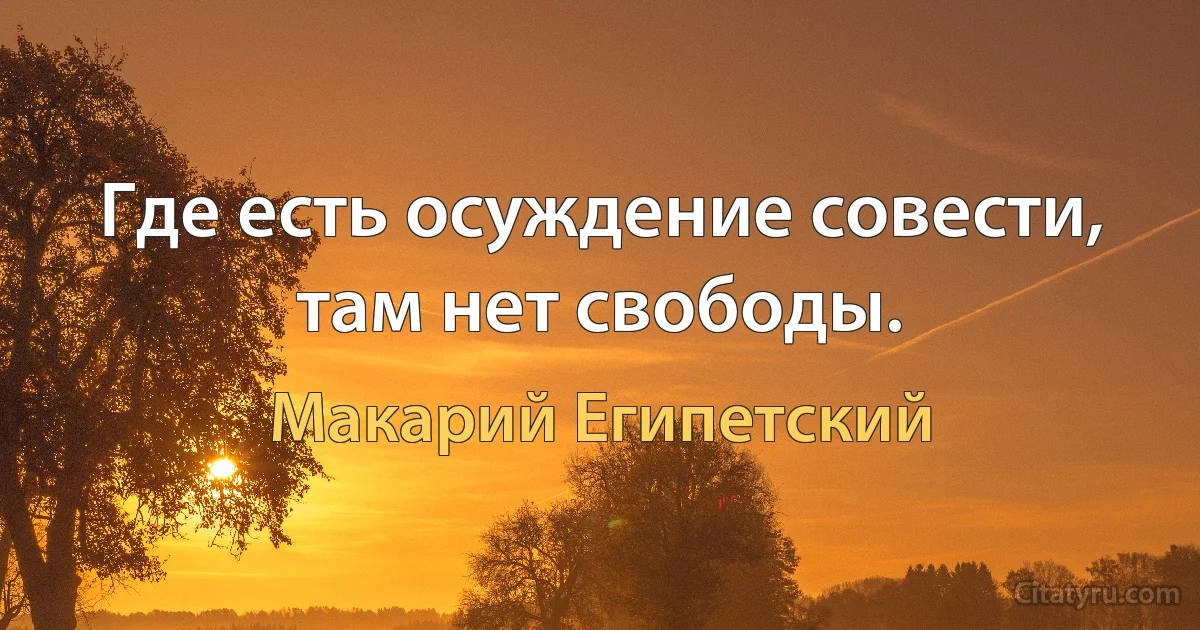 Где есть осуждение совести, там нет свободы. (Макарий Египетский)