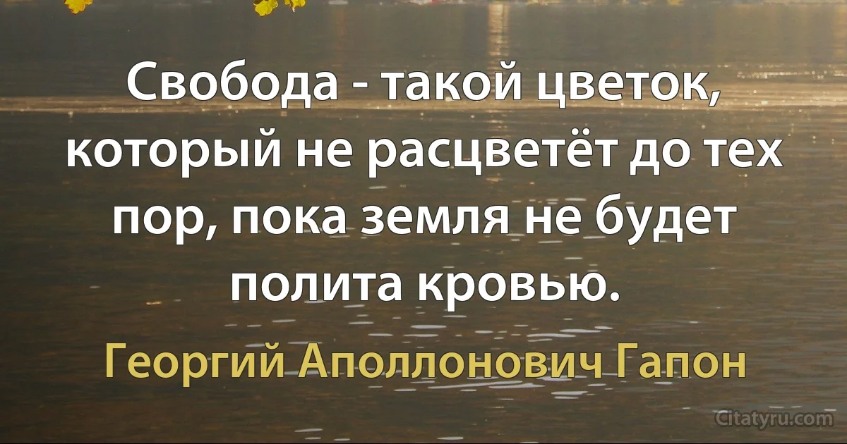 Свобода - такой цветок, который не расцветёт до тех пор, пока земля не будет полита кровью. (Георгий Аполлонович Гапон)