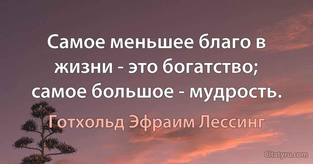 Самое меньшее благо в жизни - это богатство; самое большое - мудрость. (Готхольд Эфраим Лессинг)