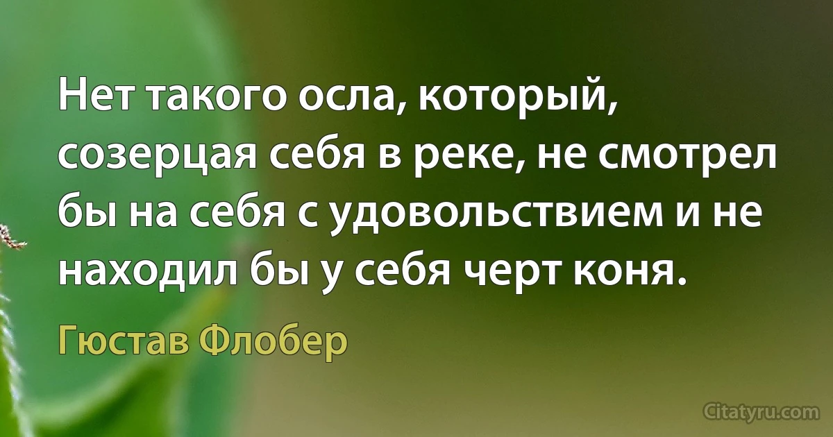 Нет такого осла, который, созерцая себя в реке, не смотрел бы на себя с удовольствием и не находил бы у себя черт коня. (Гюстав Флобер)