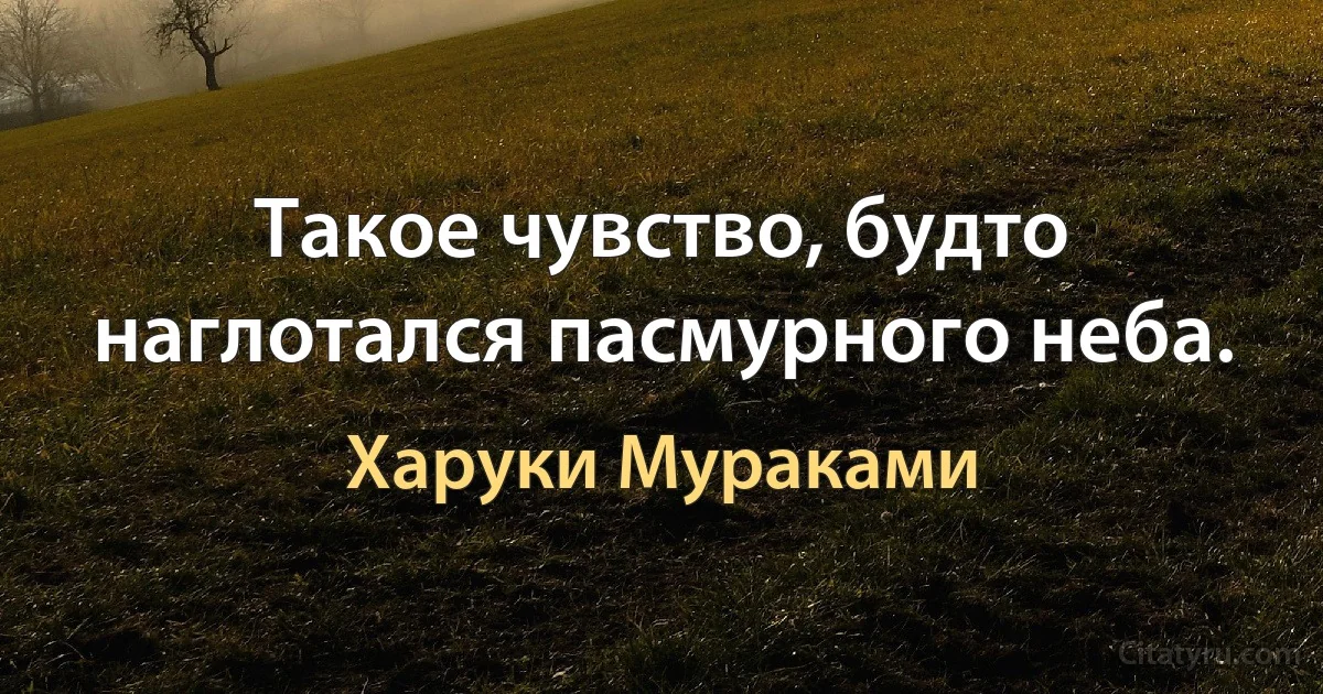 Такое чувство, будто наглотался пасмурного неба. (Харуки Мураками)