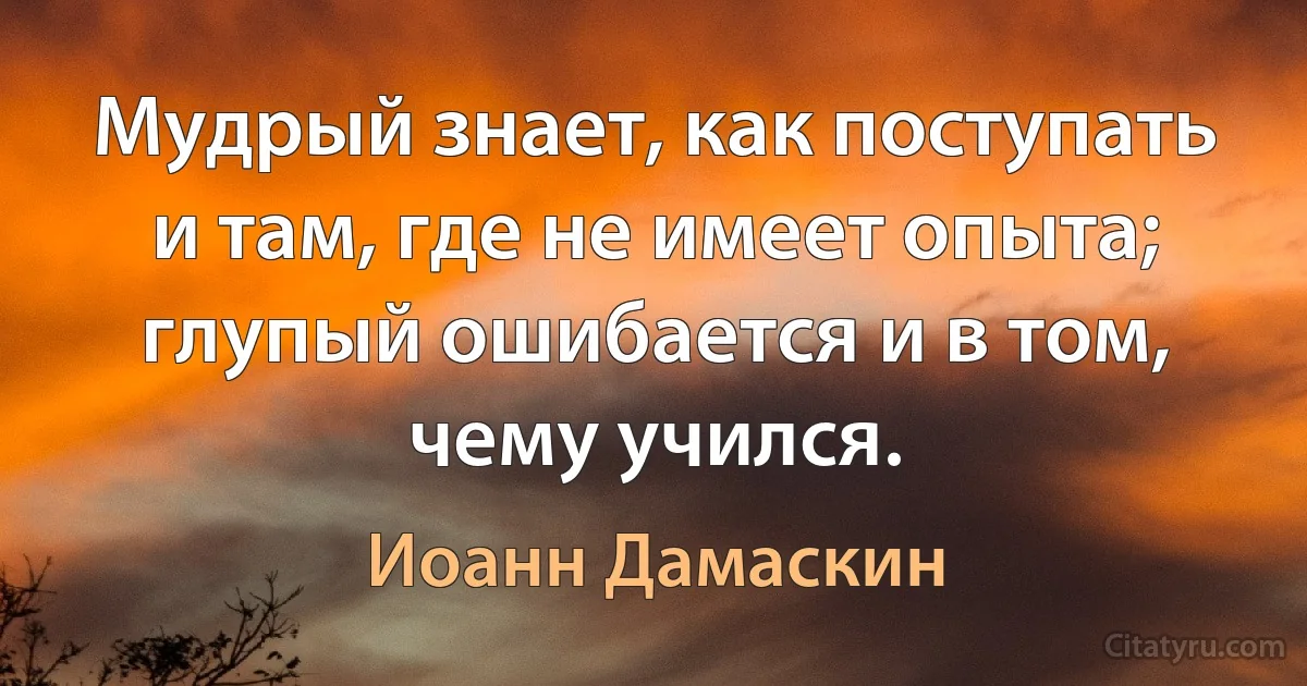 Мудрый знает, как поступать и там, где не имеет опыта; глупый ошибается и в том, чему учился. (Иоанн Дамаскин)