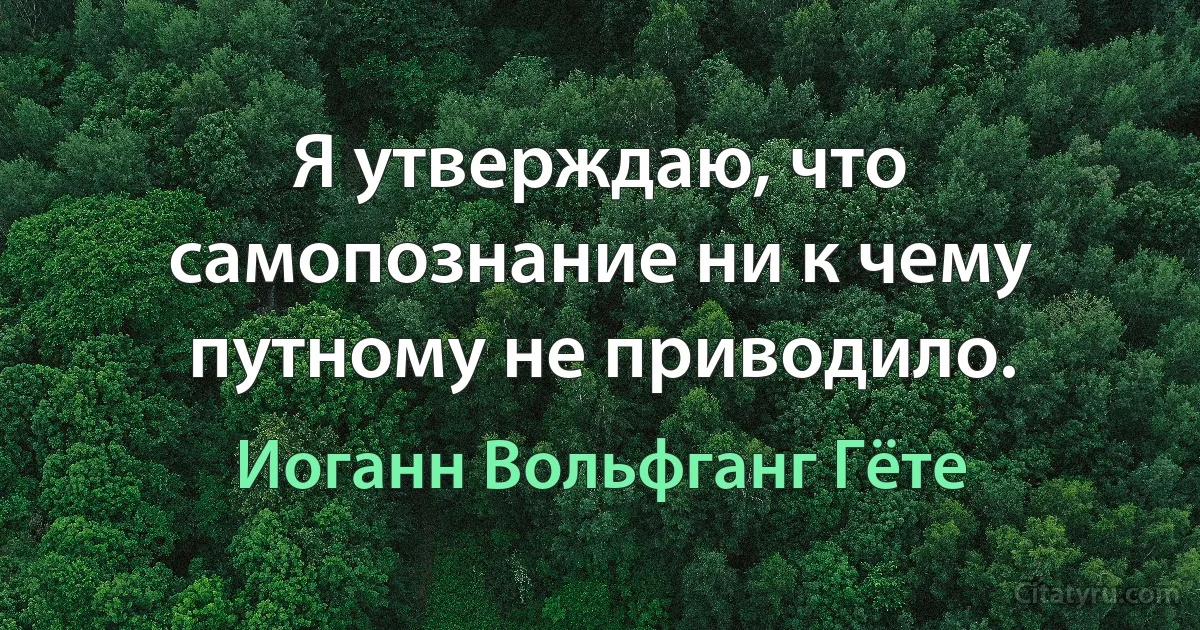 Я утверждаю, что самопознание ни к чему путному не приводило. (Иоганн Вольфганг Гёте)