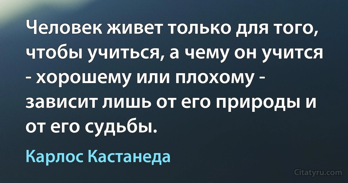 Человек живет только для того, чтобы учиться, а чему он учится - хорошему или плохому - зависит лишь от его природы и от его судьбы. (Карлос Кастанеда)