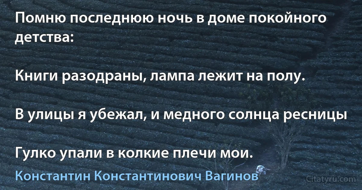 Помню последнюю ночь в доме покойного детства:

Книги разодраны, лампа лежит на полу.

В улицы я убежал, и медного солнца ресницы

Гулко упали в колкие плечи мои. (Константин Константинович Вагинов)