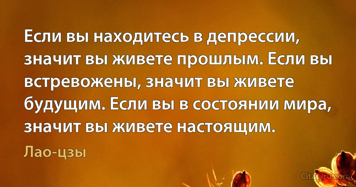 Если вы находитесь в депрессии, значит вы живете прошлым. Если вы встревожены, значит вы живете будущим. Если вы в состоянии мира, значит вы живете настоящим. (Лао-цзы)