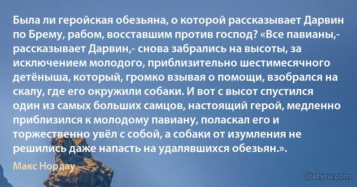 Была ли геройская обезьяна, о которой рассказывает Дарвин по Брему, рабом, восставшим против господ? «Все павианы,- рассказывает Дарвин,- снова забрались на высоты, за исключением молодого, приблизительно шестимесячного детёныша, который, громко взывая о помощи, взобрался на скалу, где его окружили собаки. И вот с высот спустился один из самых больших самцов, настоящий герой, медленно приблизился к молодому павиану, поласкал его и торжественно увёл с собой, а собаки от изумления не решились даже напасть на удалявшихся обезьян.». (Макс Нордау)