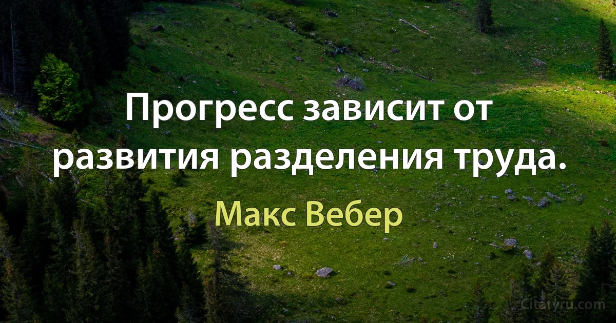 Прогресс зависит от развития разделения труда. (Макс Вебер)