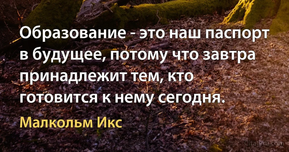 Образование - это наш паспорт в будущее, потому что завтра принадлежит тем, кто готовится к нему сегодня. (Малкольм Икс)