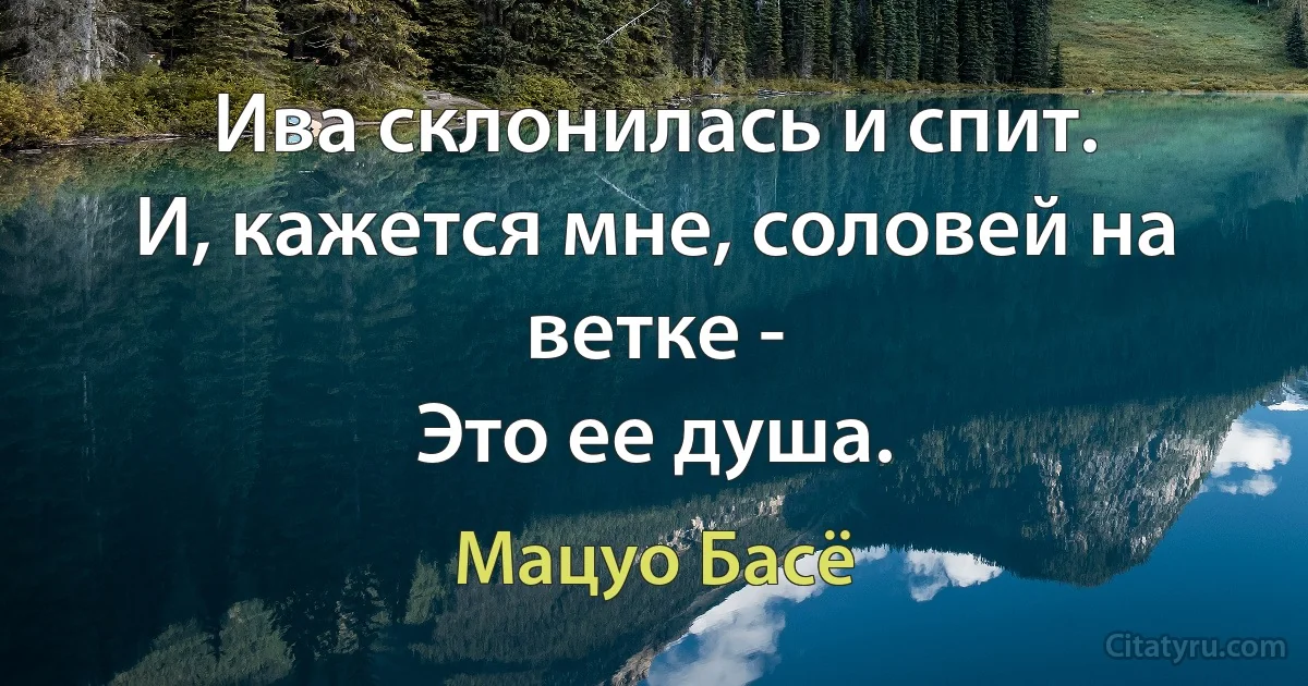 Ива склонилась и спит.
И, кажется мне, соловей на ветке -
Это ее душа. (Мацуо Басё)