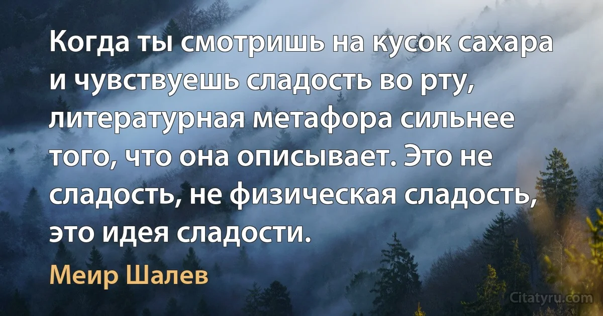 Когда ты смотришь на кусок сахара и чувствуешь сладость во рту, литературная метафора сильнее того, что она описывает. Это не сладость, не физическая сладость, это идея сладости. (Меир Шалев)