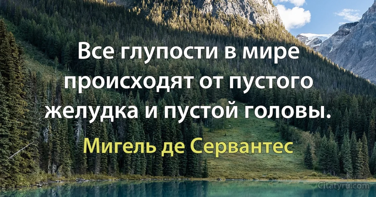 Все глупости в мире происходят от пустого желудка и пустой головы. (Мигель де Сервантес)